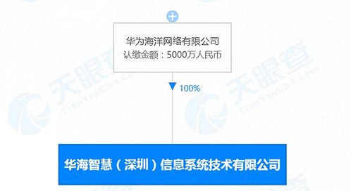 華為海洋深圳新公司成立，深耕數據處理領域