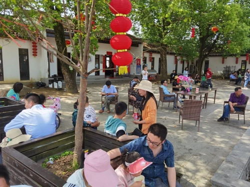 羅田假日旅游 產(chǎn)品豐富多樣，服務(wù)文明有序